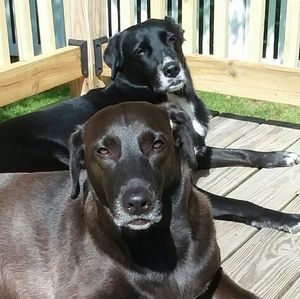 Meet your Posher, Erika